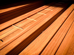 Jatoba