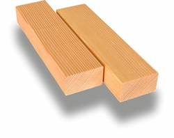 Kanadská douglaska