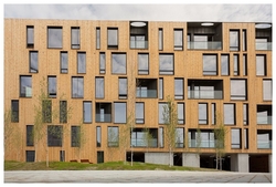 Thermowood Panel system 19 x 117 mm 4PD