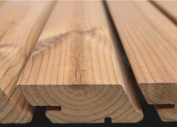 Thermowood Tiga SSS 26 x 68 mm