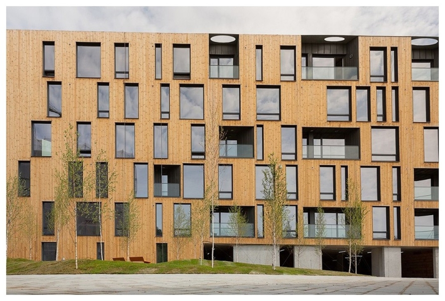 Thermowood Panel system 19 x 117 mm 4PD