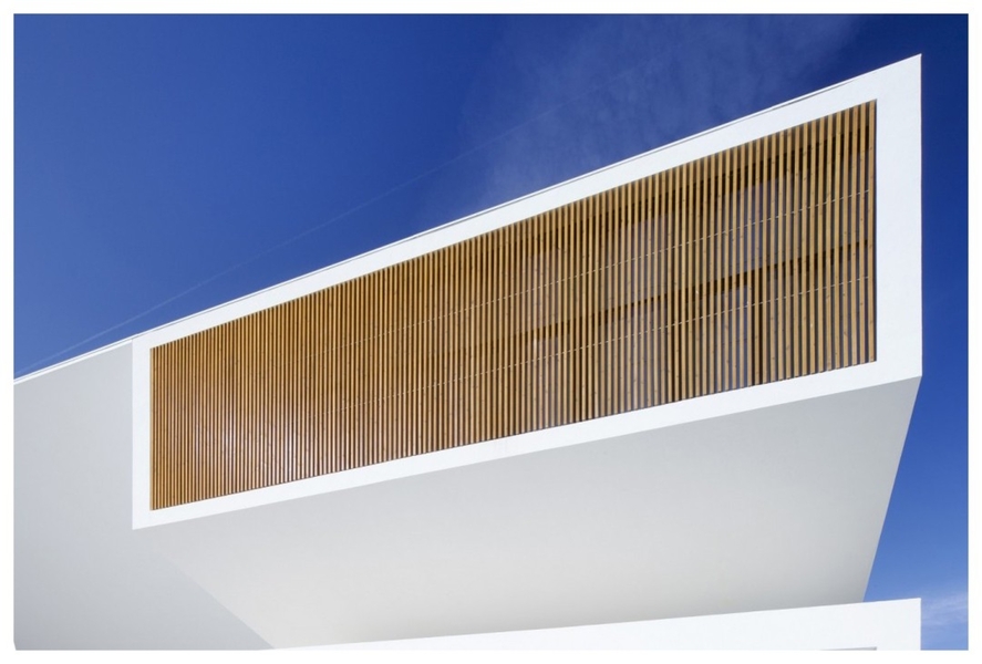 Thermowood SHP 42 x 42 mm
